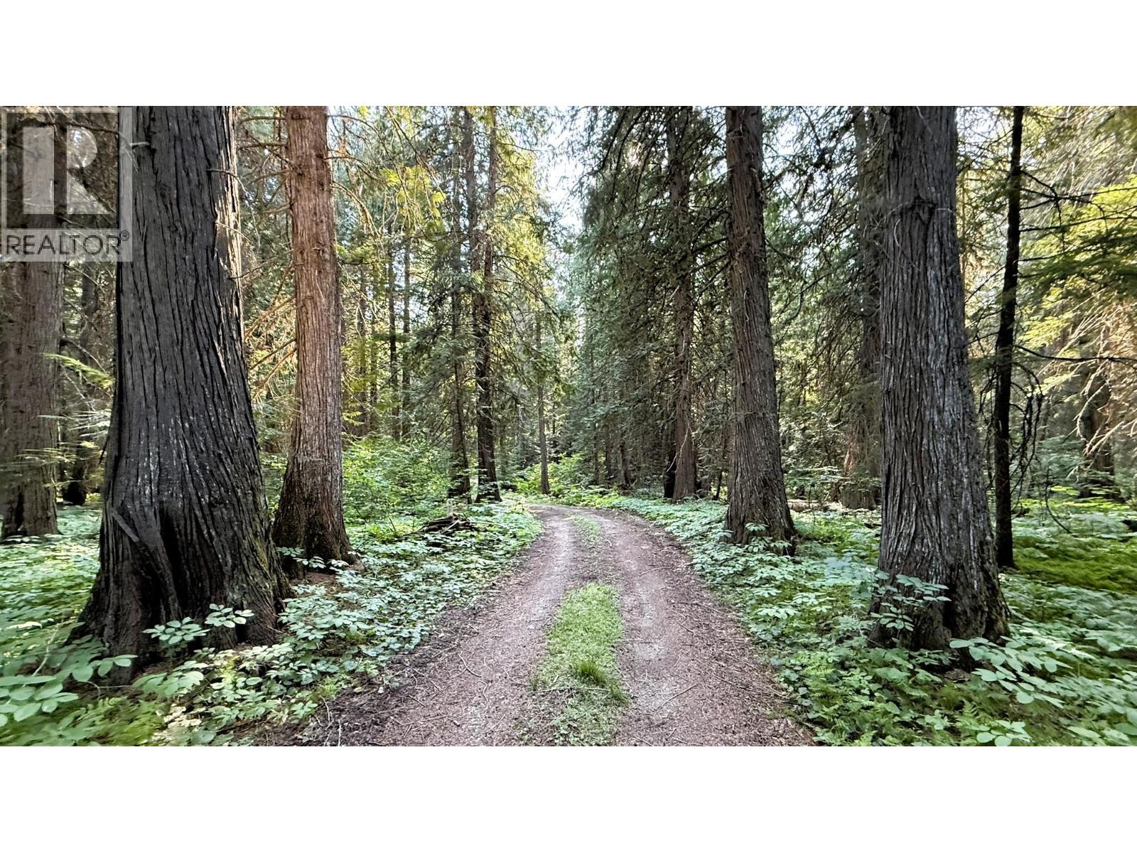 15370 Highway 31 Highway, Poplar Creek, British Columbia  V0G 1N0 - Photo 18 - 10400877
