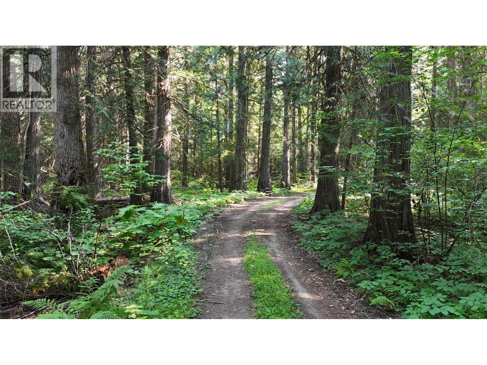 15370 Highway 31 Highway, Poplar Creek, British Columbia  V0G 1N0 - Photo 19 - 10400877