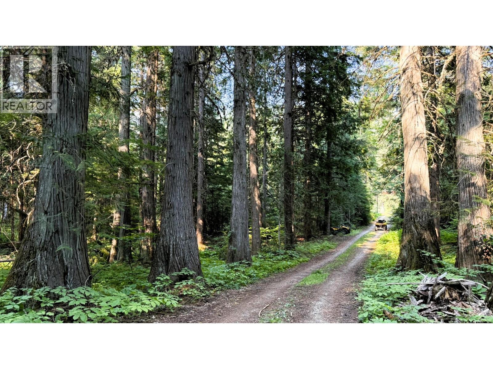 15370 Highway 31 Highway, Poplar Creek, British Columbia  V0G 1N0 - Photo 20 - 10400877