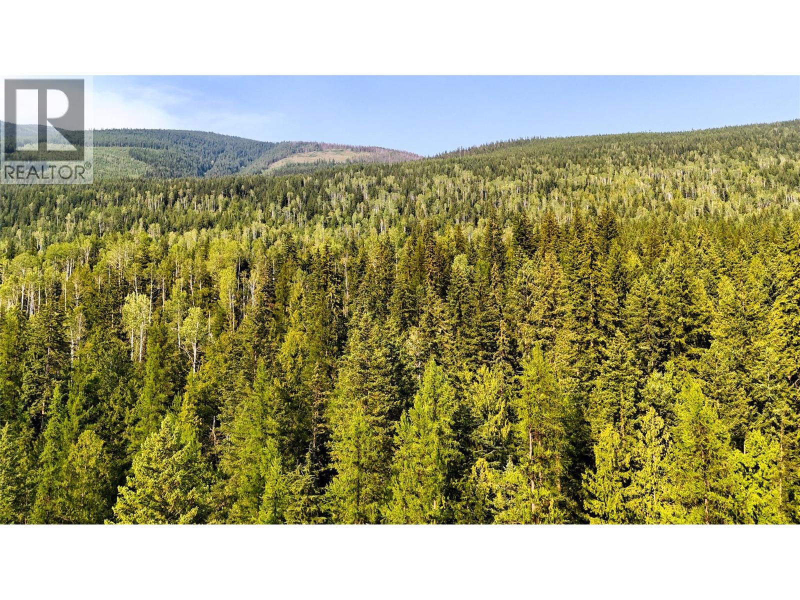 15370 Highway 31 Highway, Poplar Creek, British Columbia  V0G 1N0 - Photo 22 - 10400877