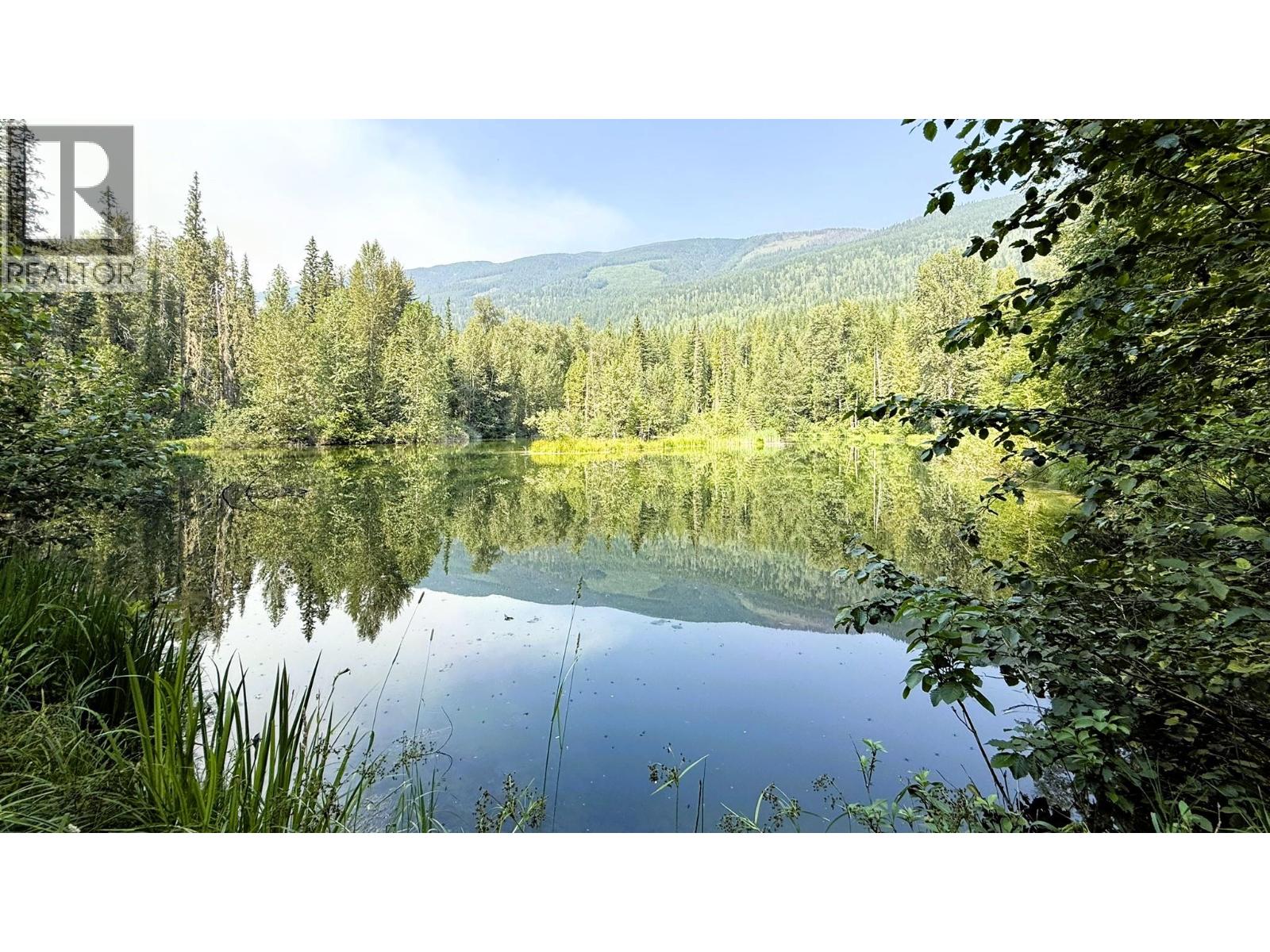 15370 Highway 31 Highway, Poplar Creek, British Columbia  V0G 1N0 - Photo 26 - 10400877