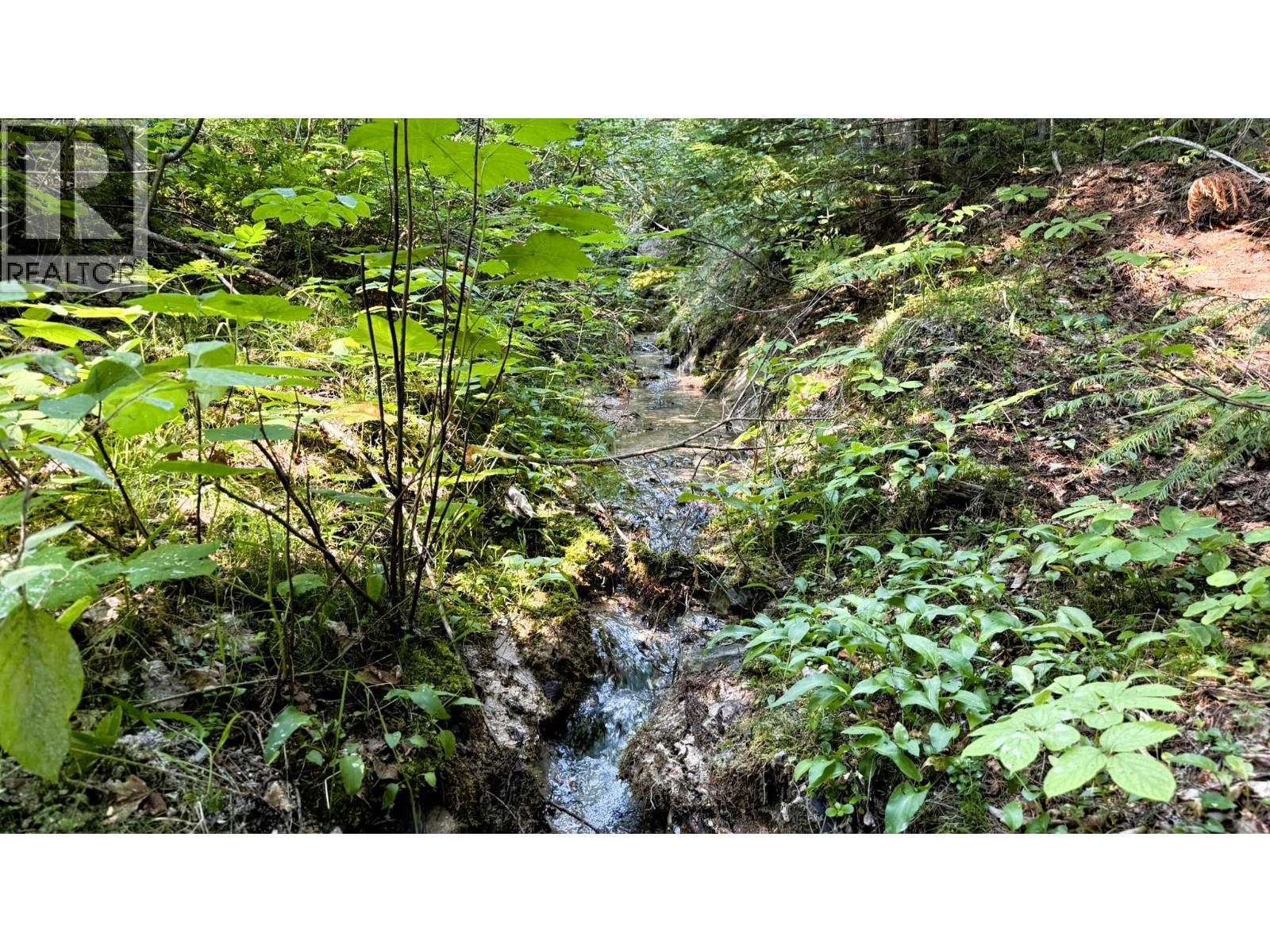 15370 Highway 31 Highway, Poplar Creek, British Columbia  V0G 1N0 - Photo 93 - 10400877