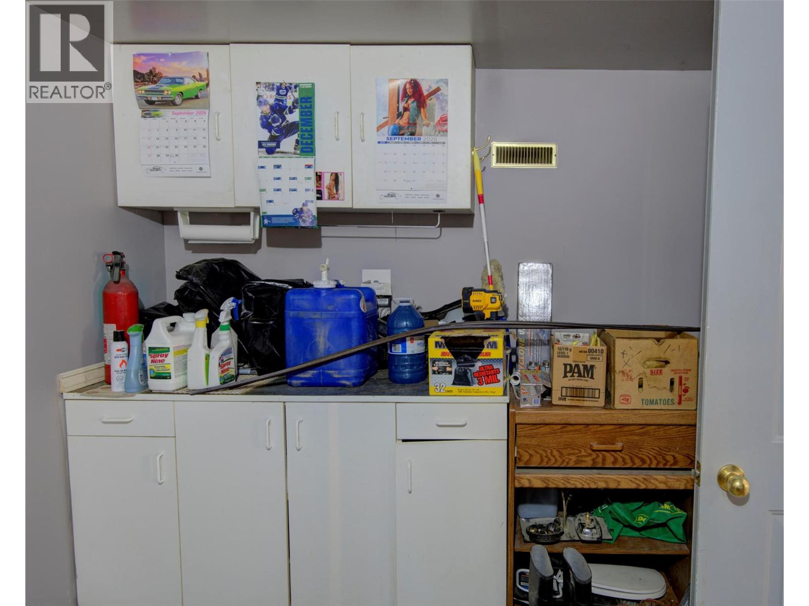1311 Mallory Road, Enderby, British Columbia  V4Y 4H7 - Photo 31 - 10399966