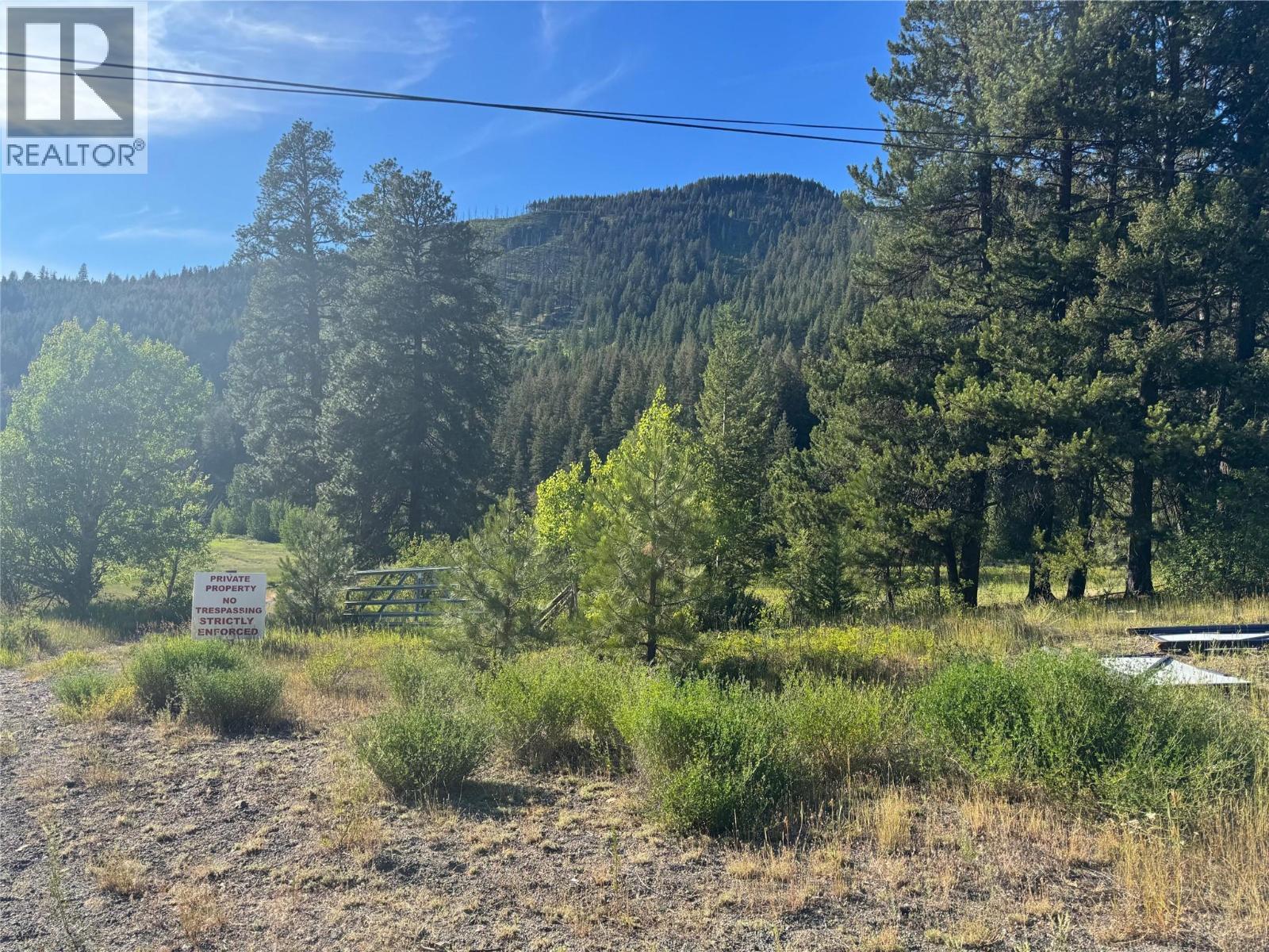 2692 Highway 5a, Princeton, British Columbia  V0X 1W0 - Photo 4 - 10401367