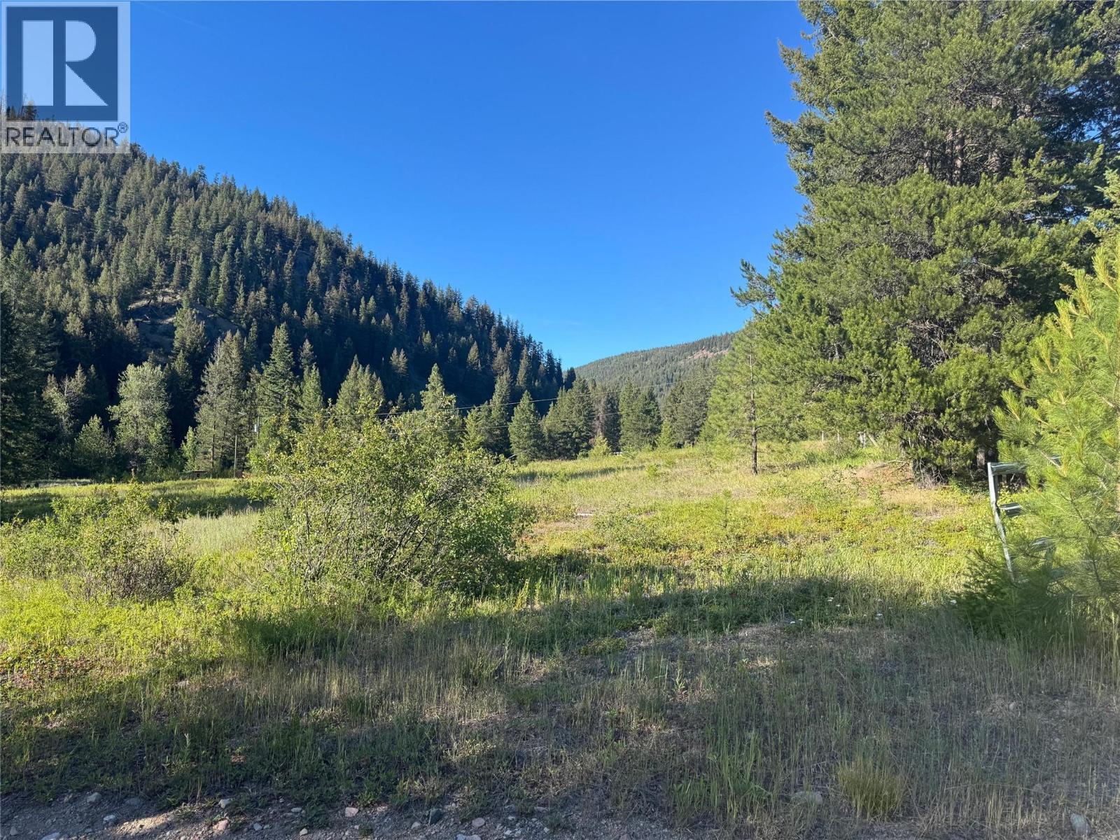 2692 Highway 5a, Princeton, British Columbia  V0X 1W0 - Photo 8 - 10401367