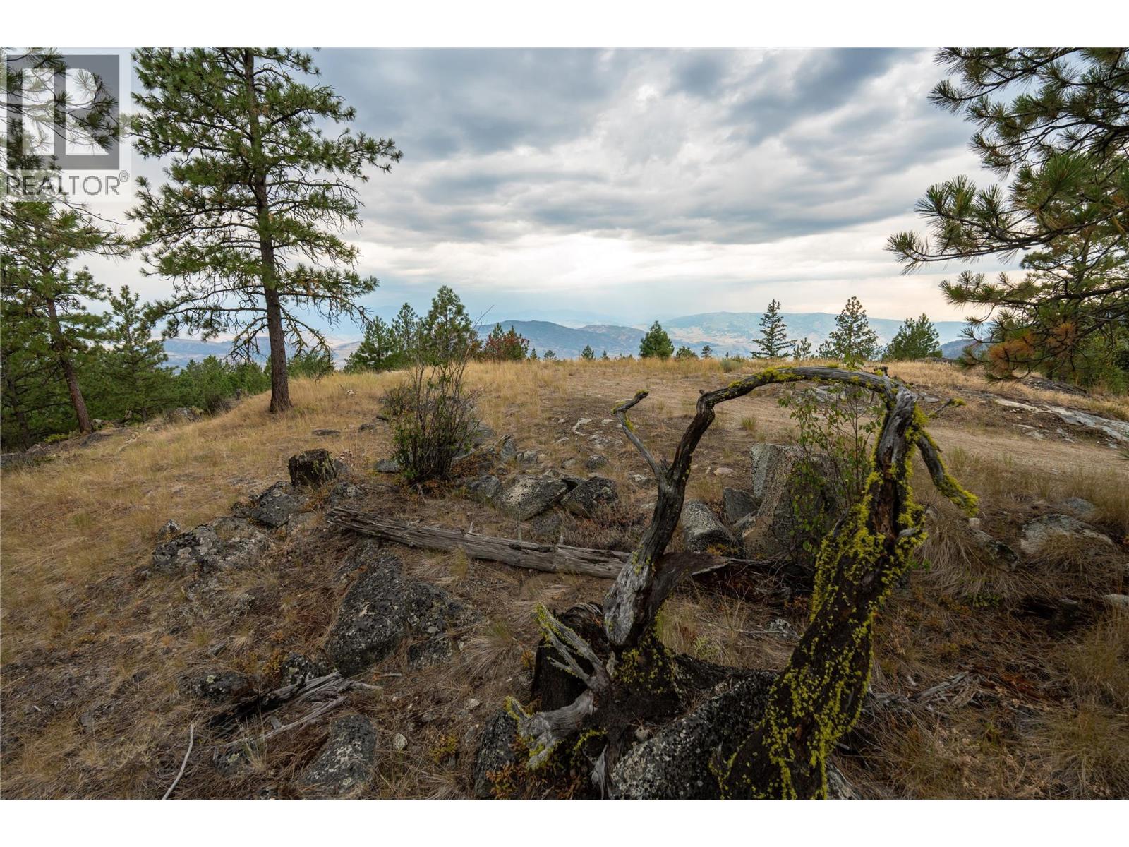 Lot B Grizzly Place, Osoyoos, British Columbia  V0H 1V6 - Photo 17 - 10396688
