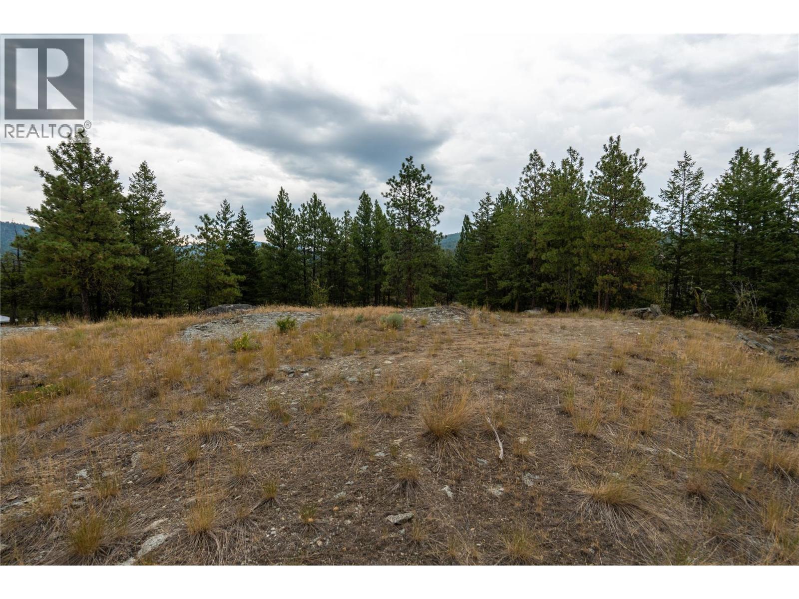 Lot B Grizzly Place, Osoyoos, British Columbia  V0H 1V6 - Photo 19 - 10396688