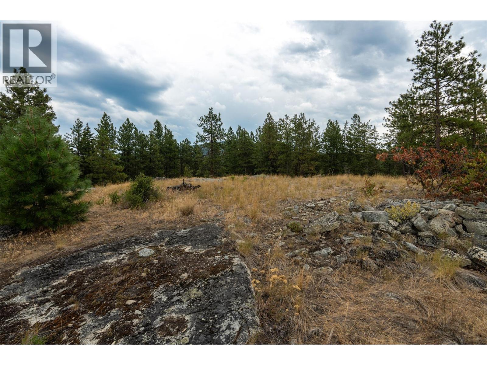 Lot B Grizzly Place, Osoyoos, British Columbia  V0H 1V6 - Photo 20 - 10396688