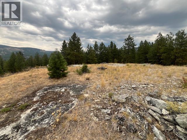 Lot B Grizzly Place, Osoyoos, British Columbia  V0H 1V6 - Photo 22 - 10396688