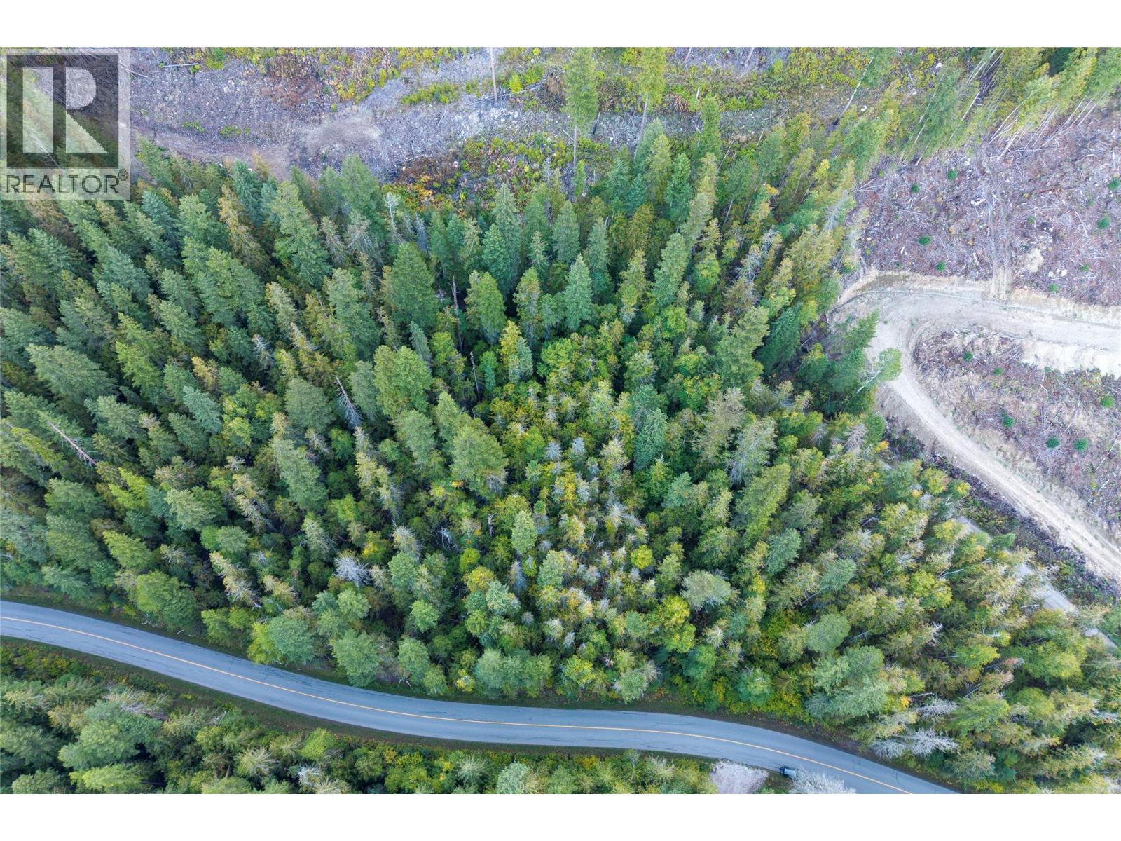 1937 Lumby Mabel Lake Road, Lumby, British Columbia  V0E 2G6 - Photo 1 - 10401371