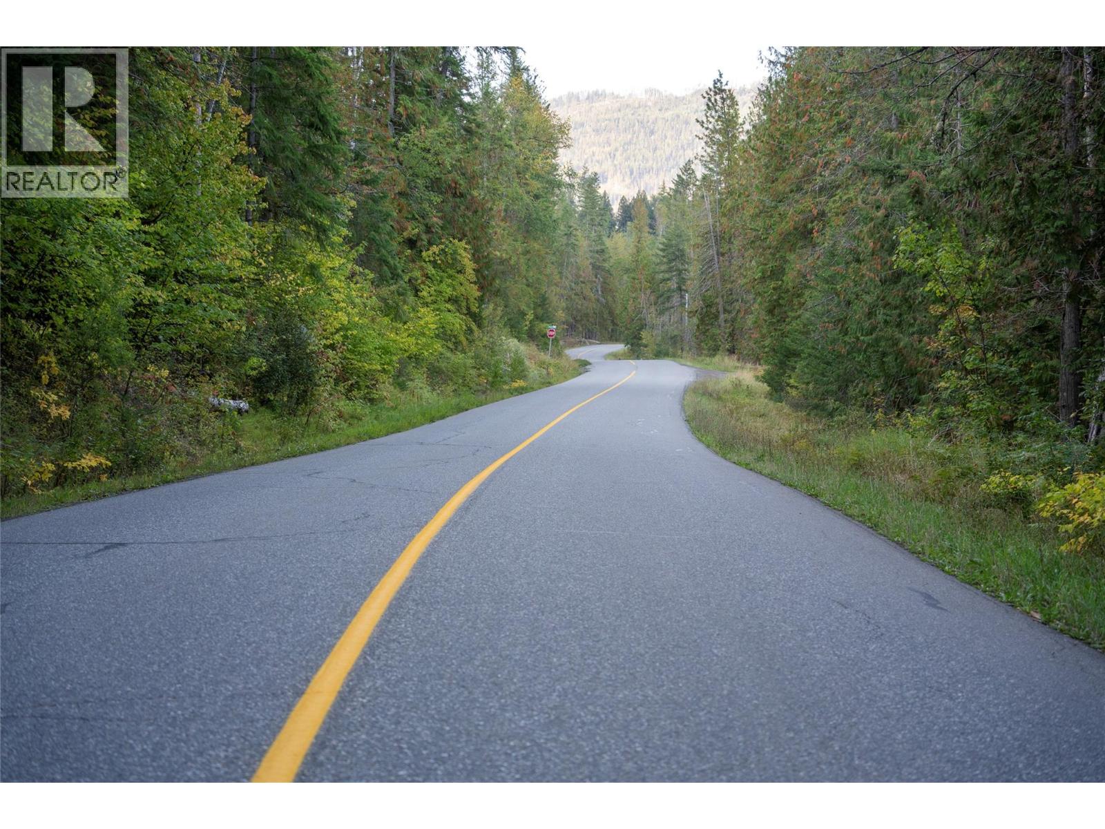 1937 Lumby Mabel Lake Road, Lumby, British Columbia  V0E 2G6 - Photo 13 - 10401371