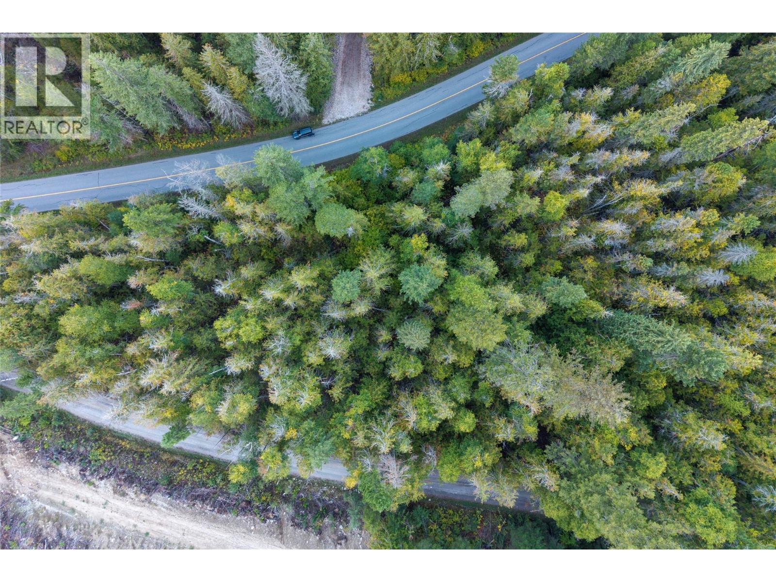 1937 Lumby Mabel Lake Road, Lumby, British Columbia  V0E 2G6 - Photo 4 - 10401371