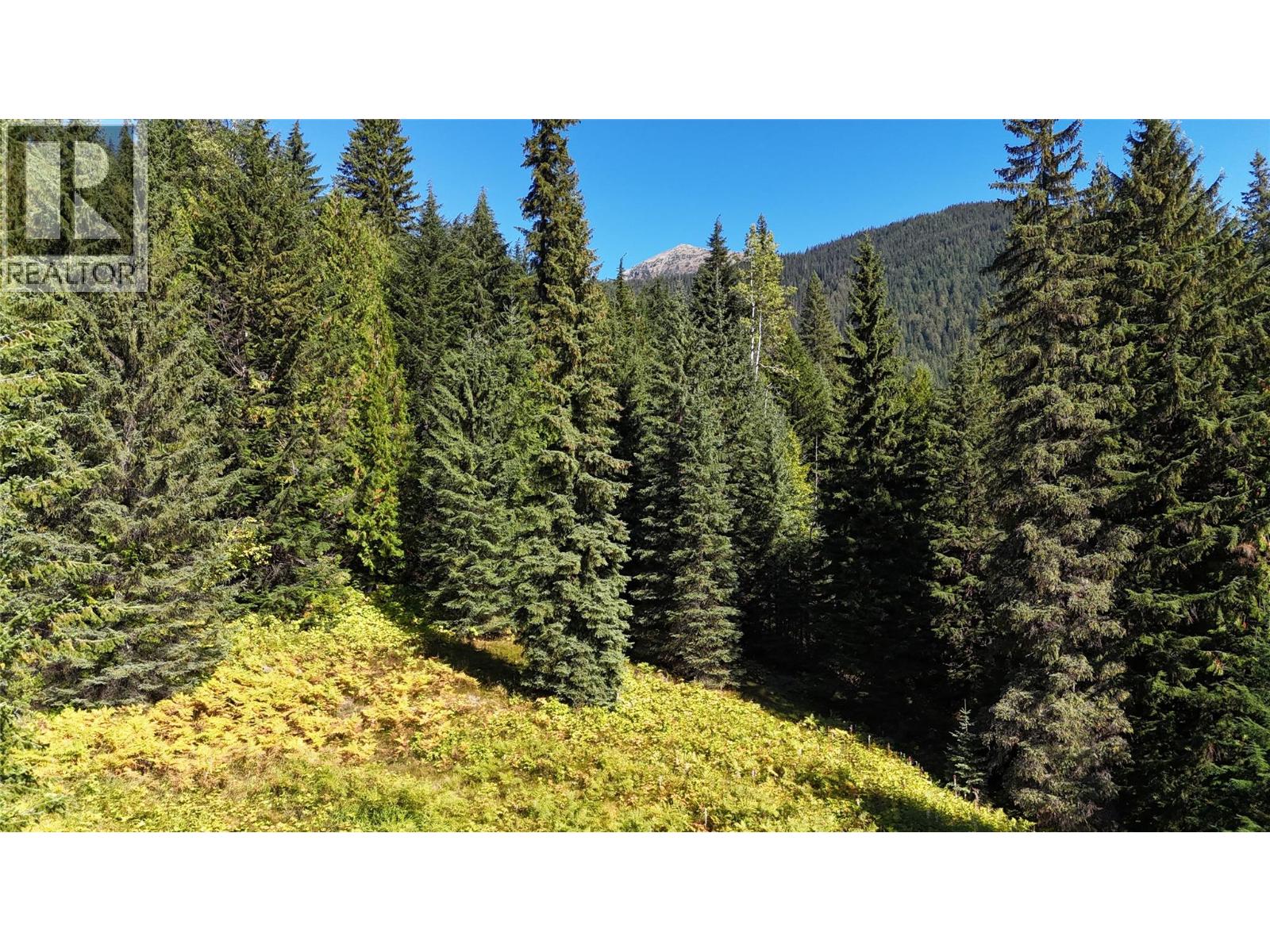 1645 Ferguson Road Lot# Parcel A, Ferguson, British Columbia  V0G 1R2 - Photo 10 - 10401382