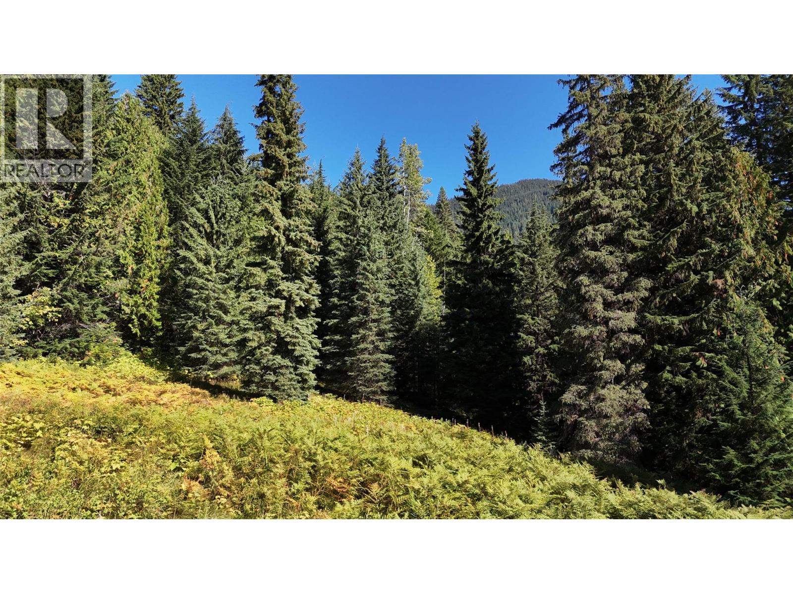 1645 Ferguson Road Lot# Parcel A, Ferguson, British Columbia  V0G 1R2 - Photo 11 - 10401382