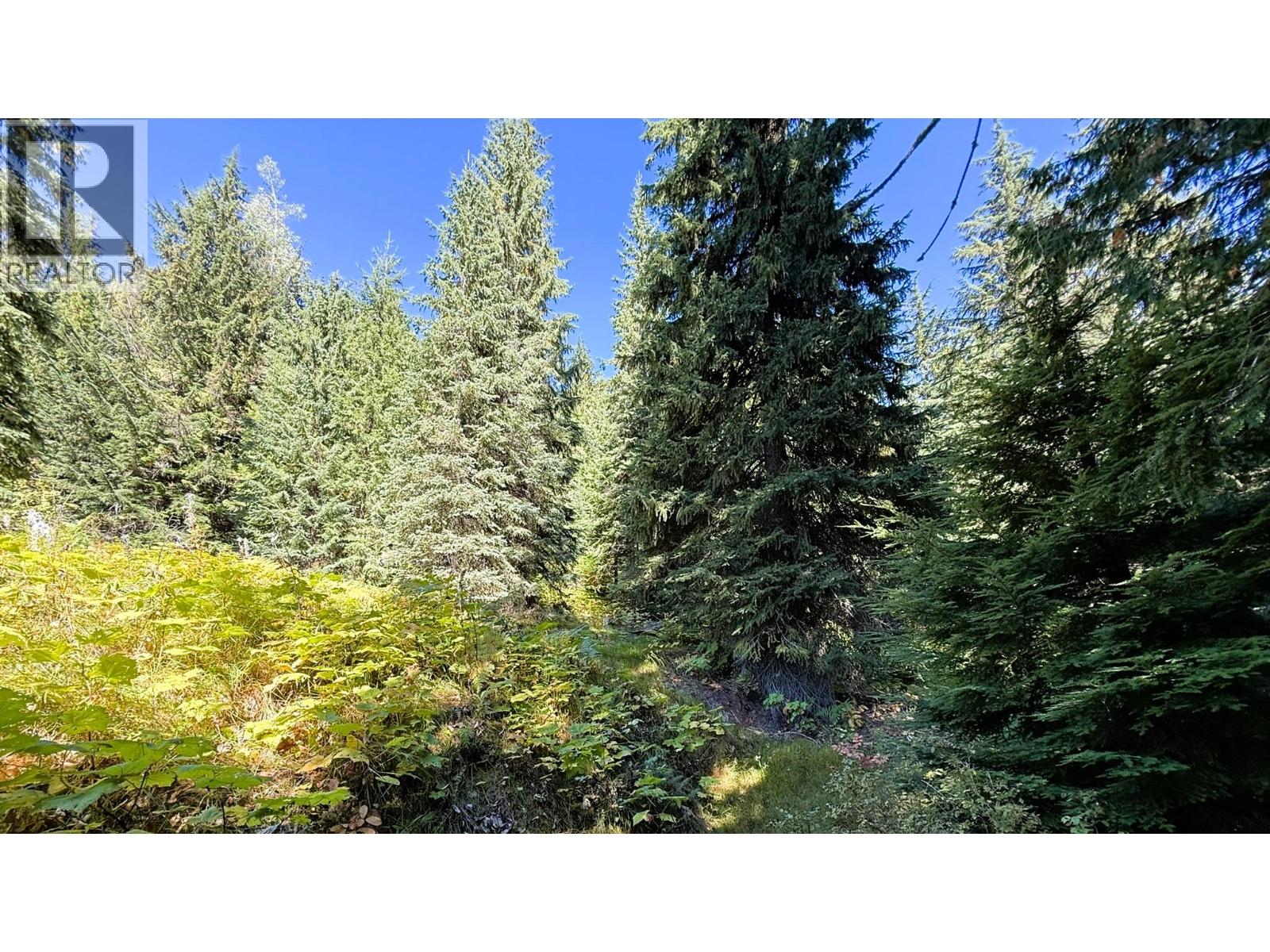1645 Ferguson Road Lot# Parcel A, Ferguson, British Columbia  V0G 1R2 - Photo 12 - 10401382