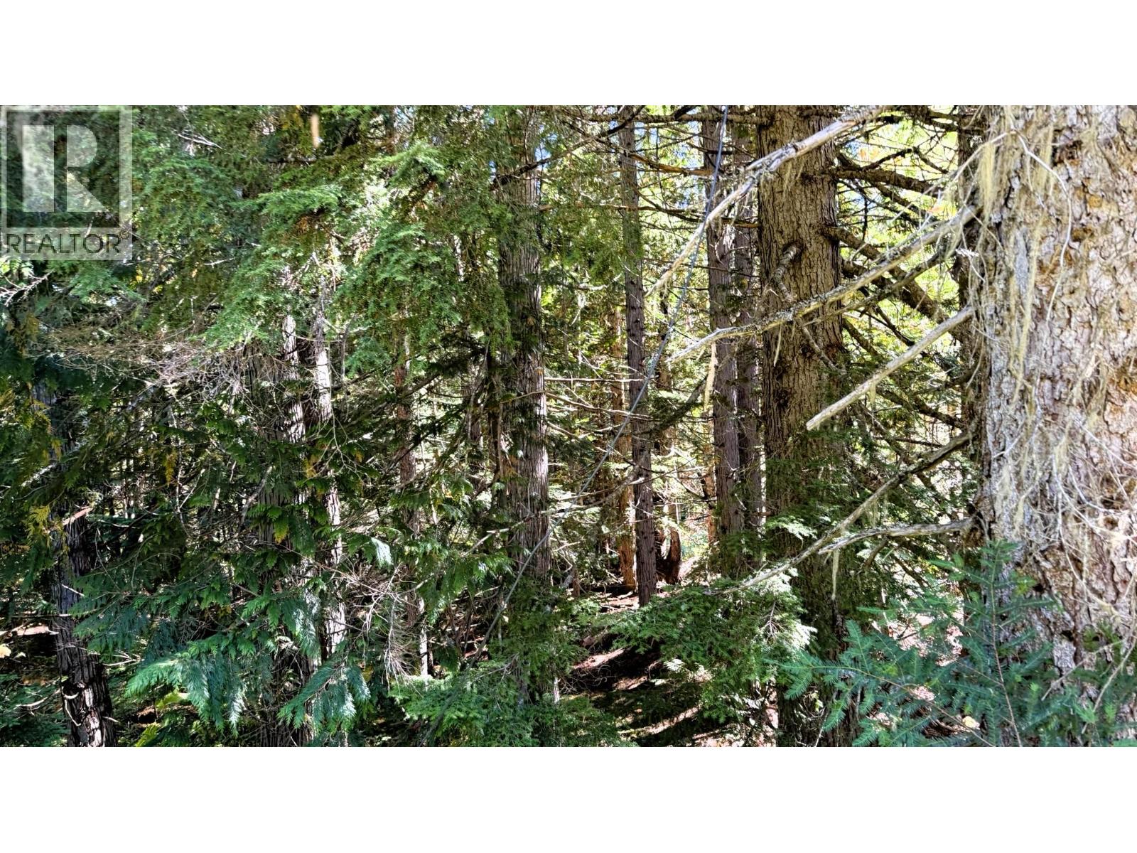 1645 Ferguson Road Lot# Parcel A, Ferguson, British Columbia  V0G 1R2 - Photo 13 - 10401382