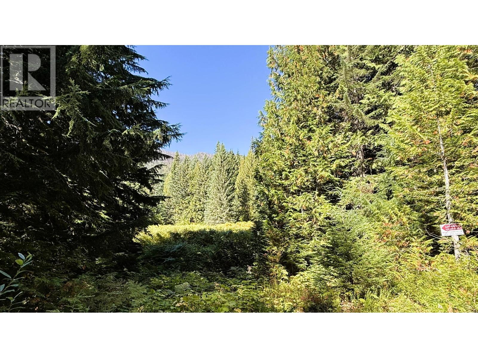 1645 Ferguson Road Lot# Parcel A, Ferguson, British Columbia  V0G 1R2 - Photo 15 - 10401382