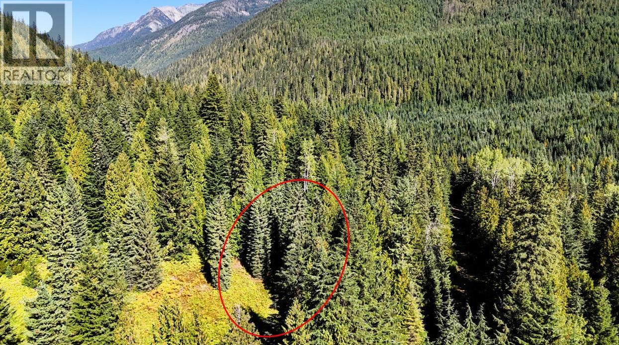 1645 Ferguson Road Lot# Parcel A, Ferguson, British Columbia  V0G 1R2 - Photo 3 - 10401382