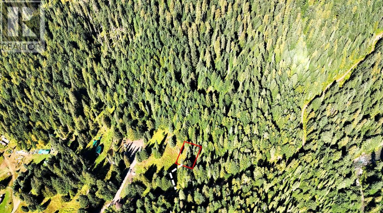 1645 Ferguson Road Lot# Parcel A, Ferguson, British Columbia  V0G 1R2 - Photo 4 - 10401382