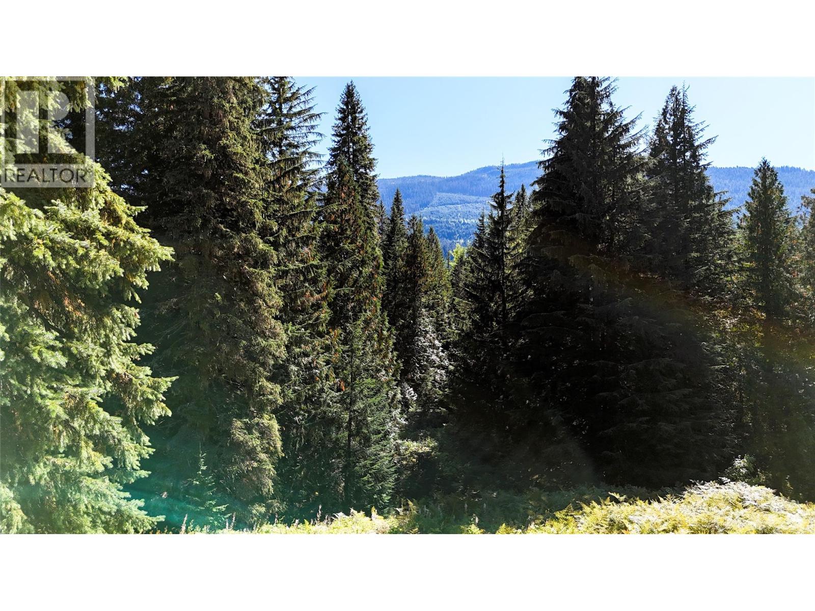 1645 Ferguson Road Lot# Parcel A, Ferguson, British Columbia  V0G 1R2 - Photo 7 - 10401382