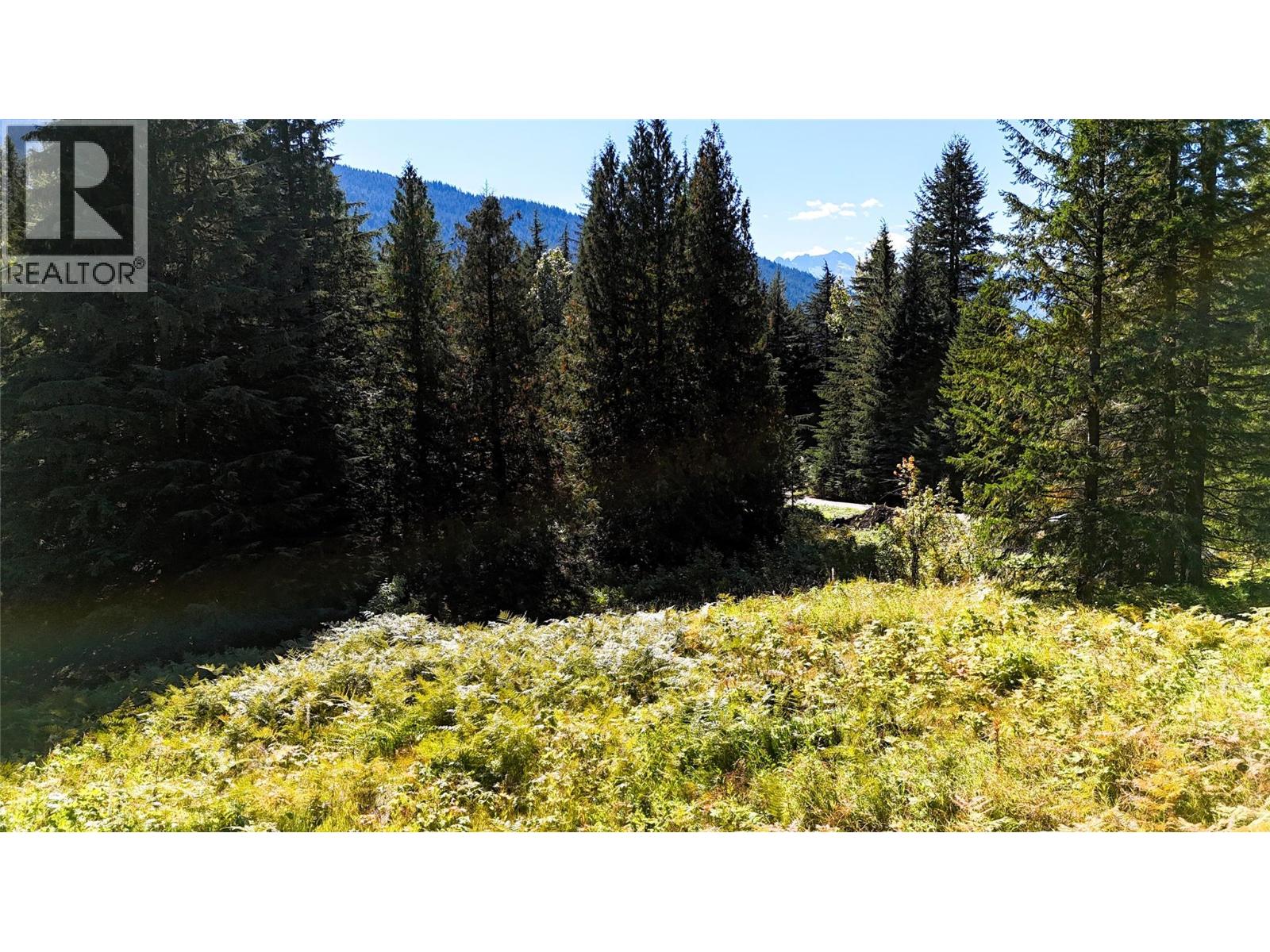 1645 Ferguson Road Lot# Parcel A, Ferguson, British Columbia  V0G 1R2 - Photo 9 - 10401382