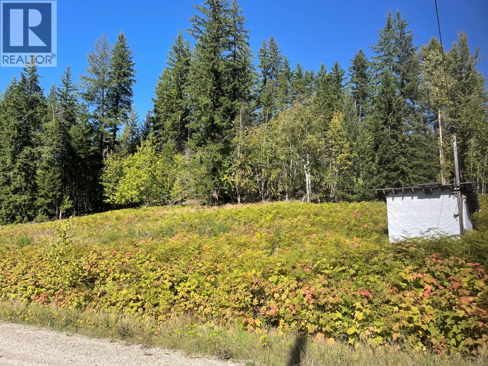Lot 77 Bartley Road, Nakusp, British Columbia  V0G 1R0 - Photo 1 - 10401341