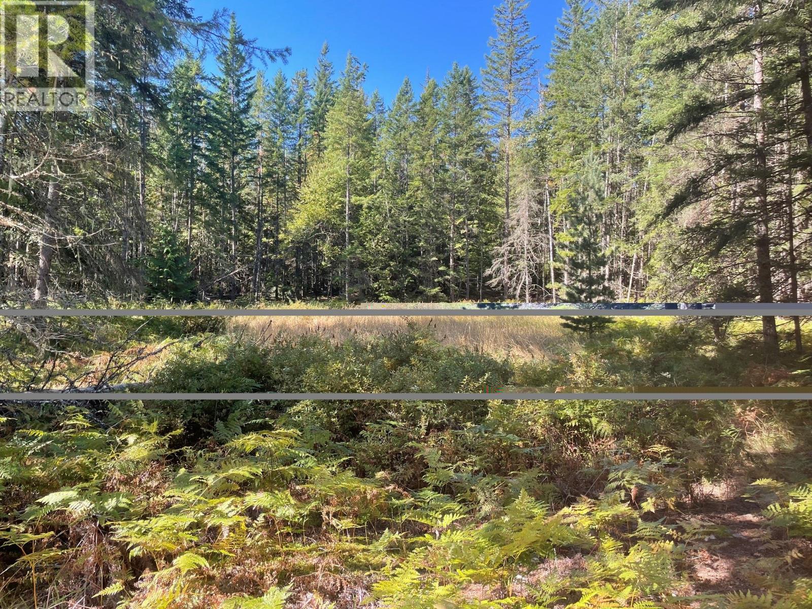 Lot 77 Bartley Road, Nakusp, British Columbia  V0G 1R0 - Photo 3 - 10401341
