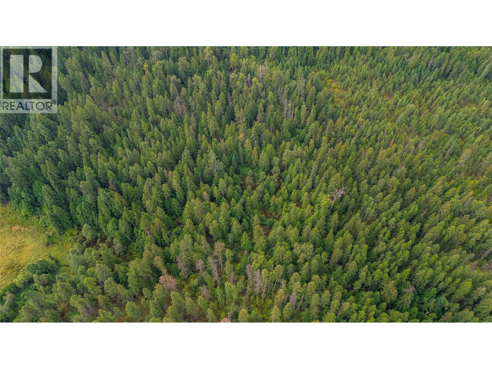 4604 Blewett Road, Nelson, British Columbia  V1L 6X4 - Photo 12 - 10398172