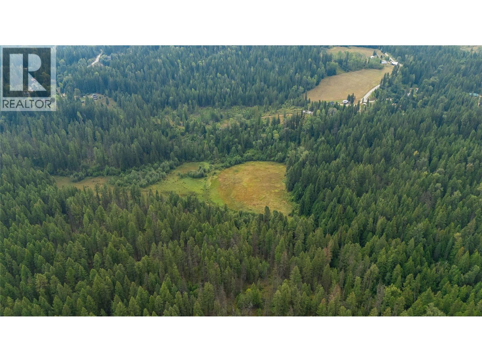 4604 Blewett Road, Nelson, British Columbia  V1L 6X4 - Photo 8 - 10398172