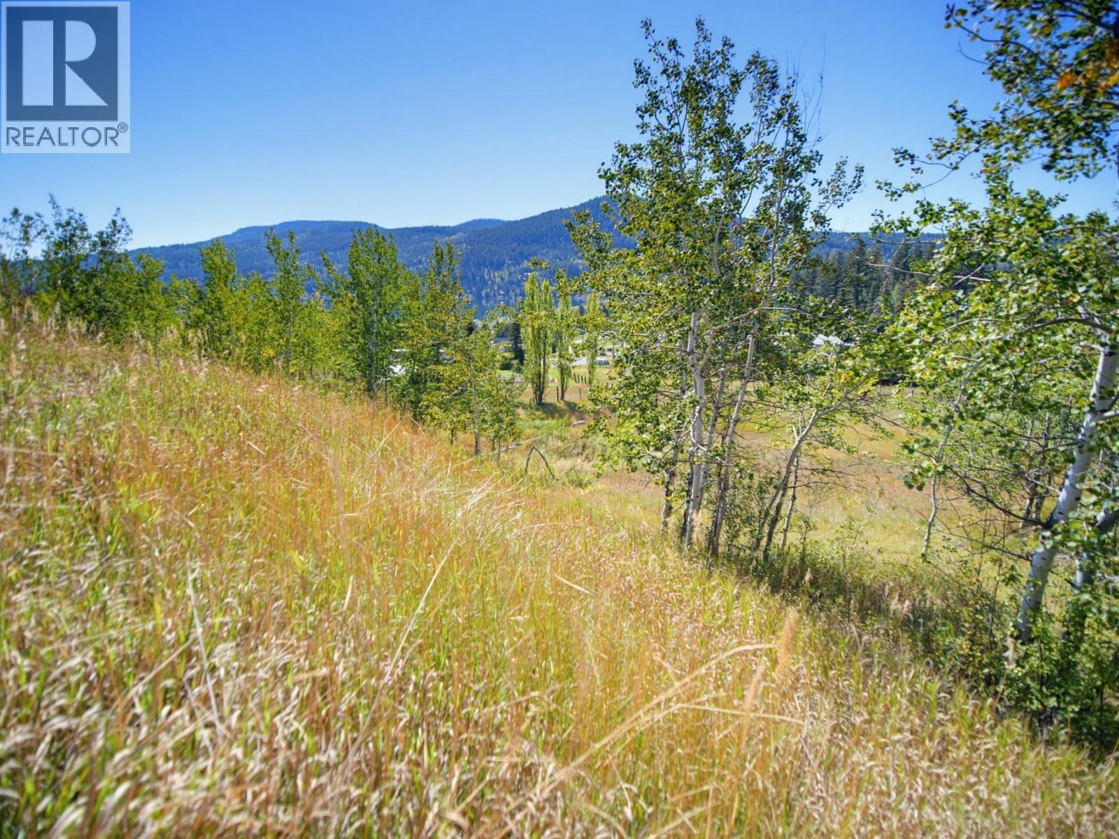 Pinantan Pritchard Road Lot# Parcel A, Kamloops, British Columbia  V0E 3E1 - Photo 7 - 10401686