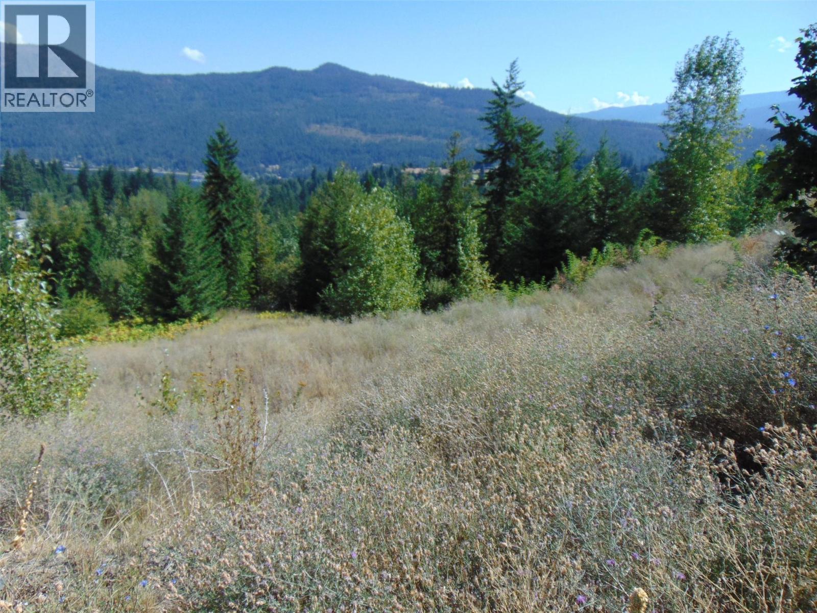 2624 Highlands Drive, Blind Bay, British Columbia  V0E 1H2 - Photo 17 - 10401522
