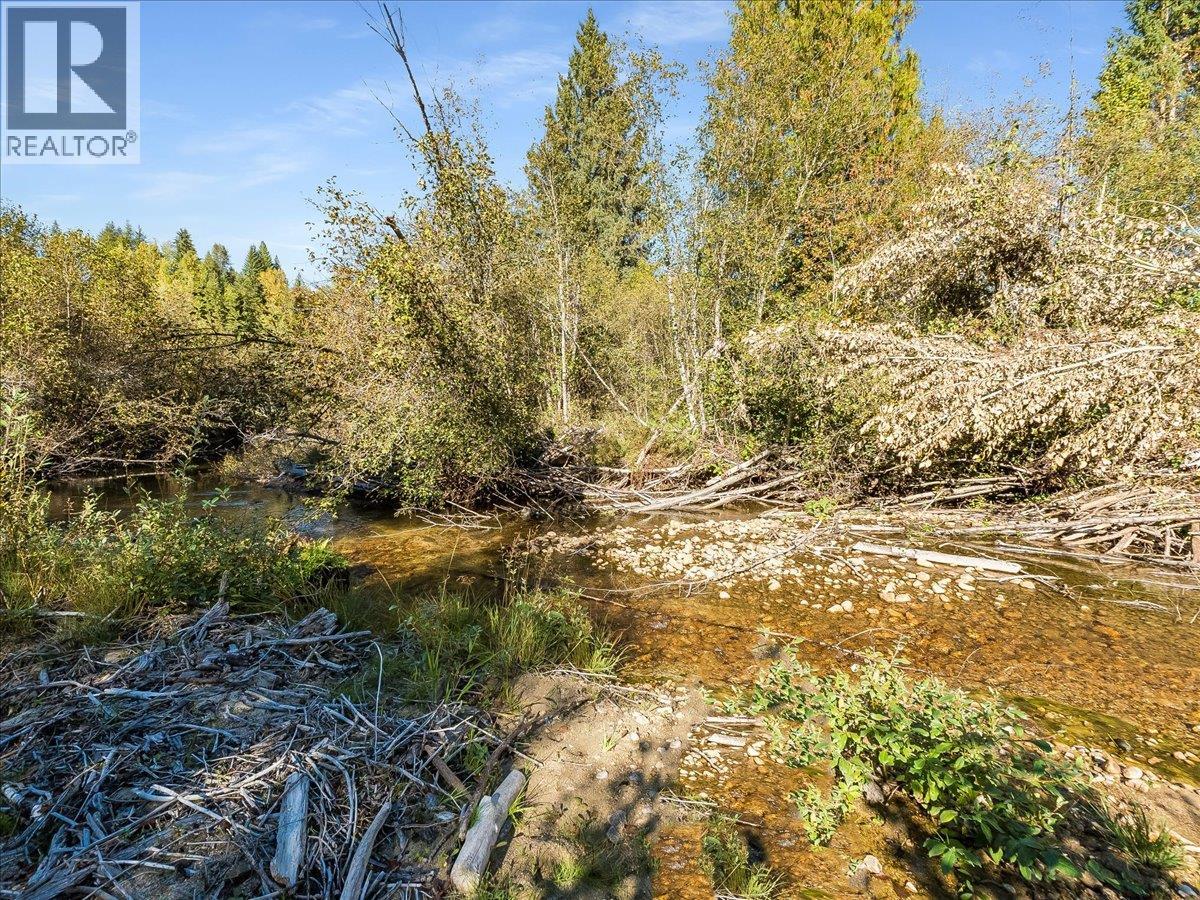 3168 Pass Creek Road, Crescent Valley, British Columbia  V0G 1H0 - Photo 59 - 10401618