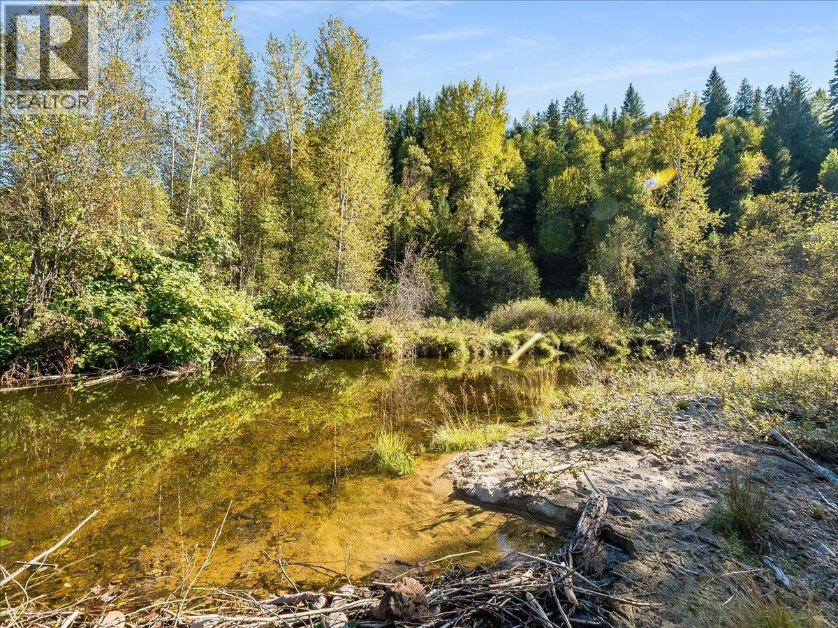 3168 Pass Creek Road, Crescent Valley, British Columbia  V0G 1H0 - Photo 60 - 10401618