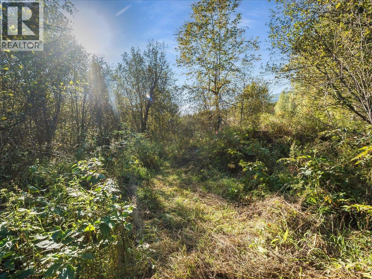 3168 Pass Creek Road, Crescent Valley, British Columbia  V0G 1H0 - Photo 64 - 10401618