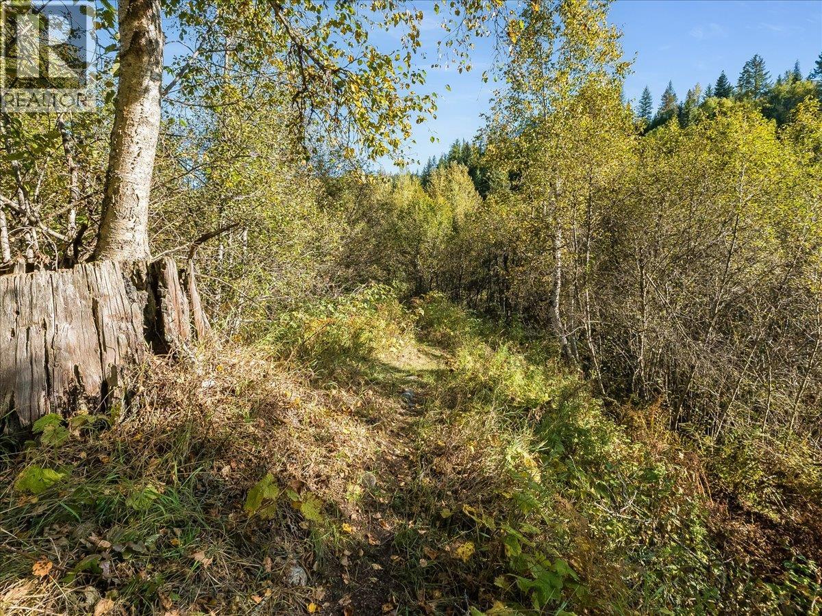 3168 Pass Creek Road, Crescent Valley, British Columbia  V0G 1H0 - Photo 65 - 10401618