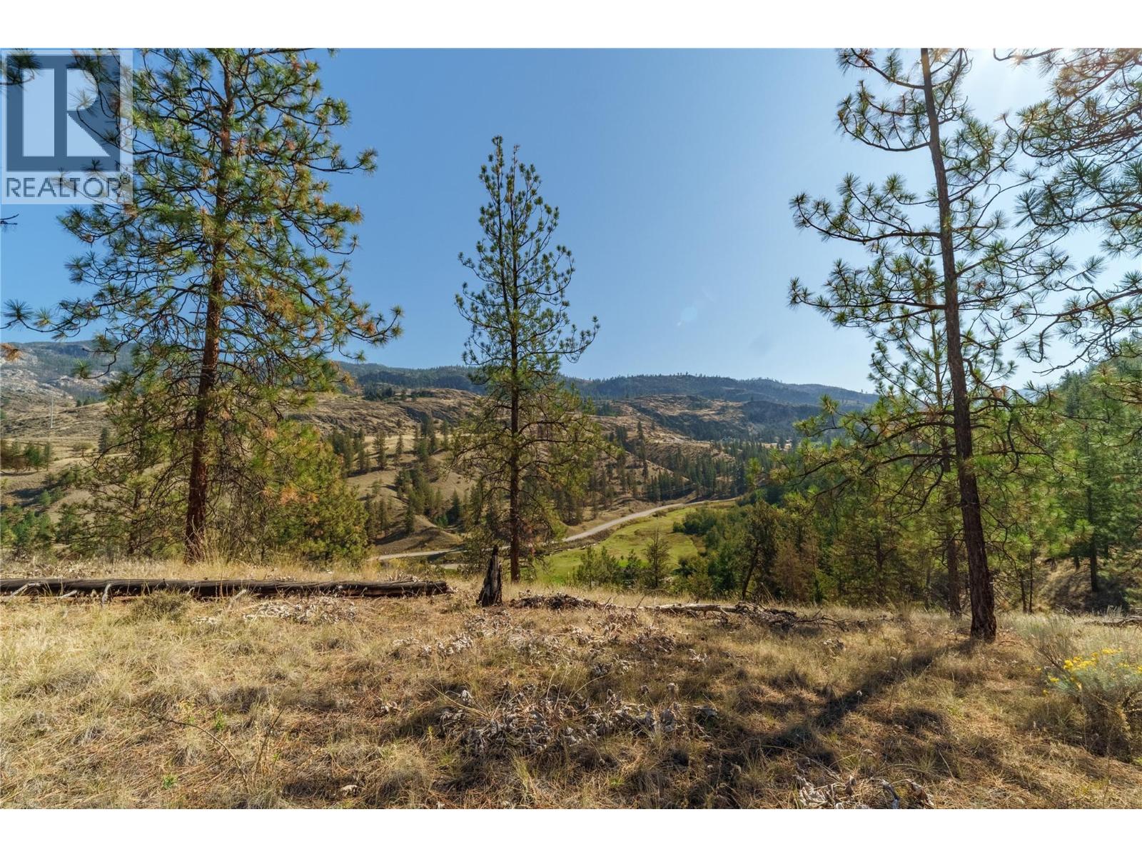 Prpsd Lt 1 47 Street, Okanagan Falls, British Columbia  V0H 1R5 - Photo 10 - 10401523