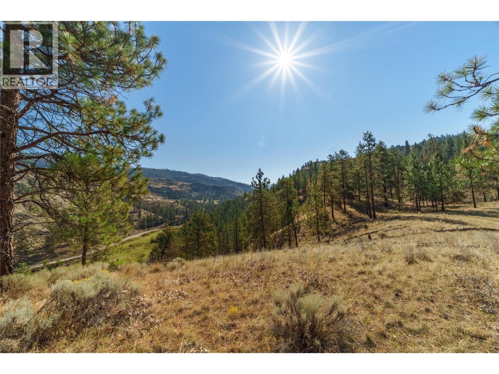 Prpsd Lt 1 47 Street, Okanagan Falls, British Columbia  V0H 1R5 - Photo 11 - 10401523