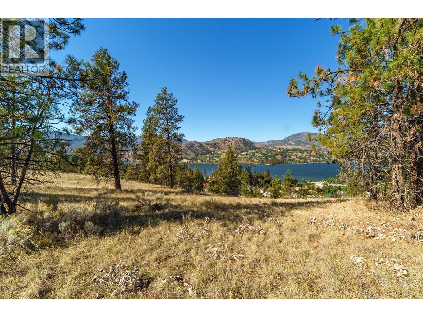 Prpsd Lt 1 47 Street, Okanagan Falls, British Columbia  V0H 1R5 - Photo 12 - 10401523