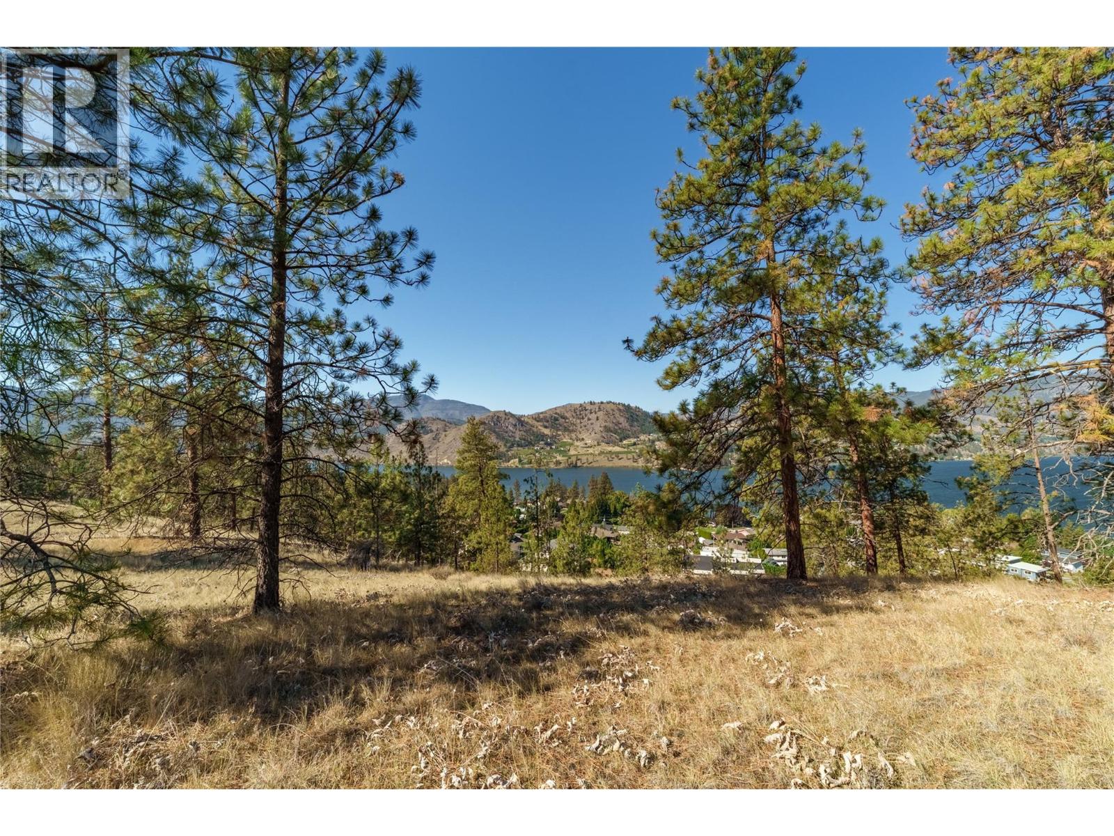 Prpsd Lt 1 47 Street, Okanagan Falls, British Columbia  V0H 1R5 - Photo 13 - 10401523
