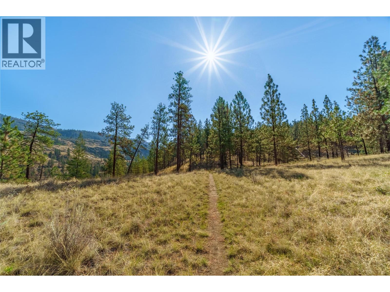 Prpsd Lt 1 47 Street, Okanagan Falls, British Columbia  V0H 1R5 - Photo 14 - 10401523