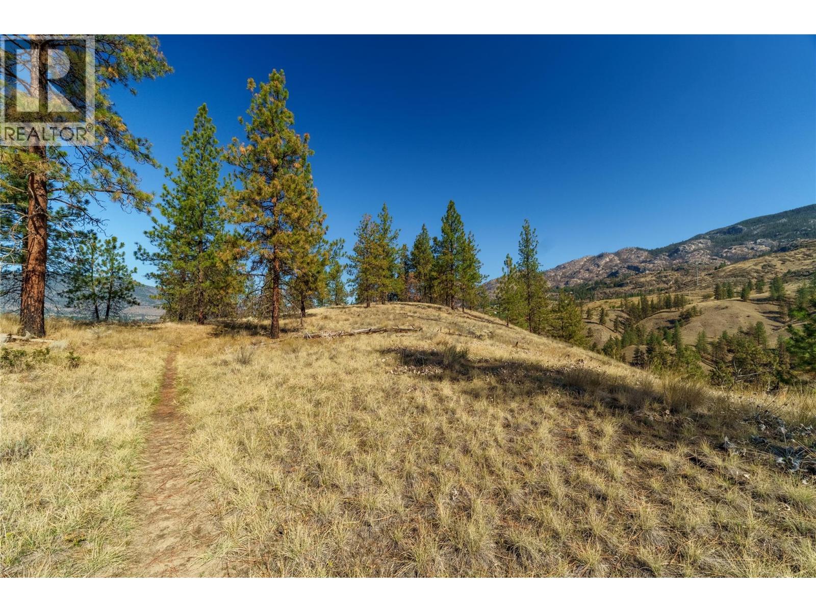 Prpsd Lt 1 47 Street, Okanagan Falls, British Columbia  V0H 1R5 - Photo 15 - 10401523