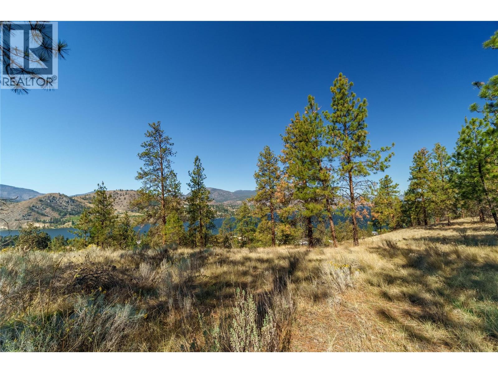 Prpsd Lt 1 47 Street, Okanagan Falls, British Columbia  V0H 1R5 - Photo 16 - 10401523