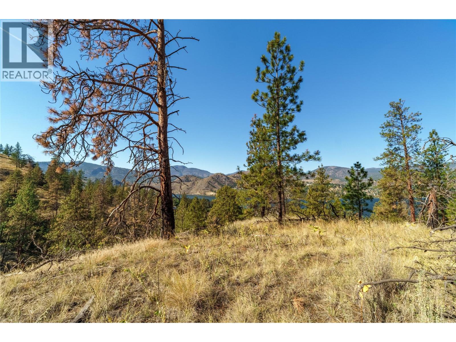 Prpsd Lt 1 47 Street, Okanagan Falls, British Columbia  V0H 1R5 - Photo 17 - 10401523