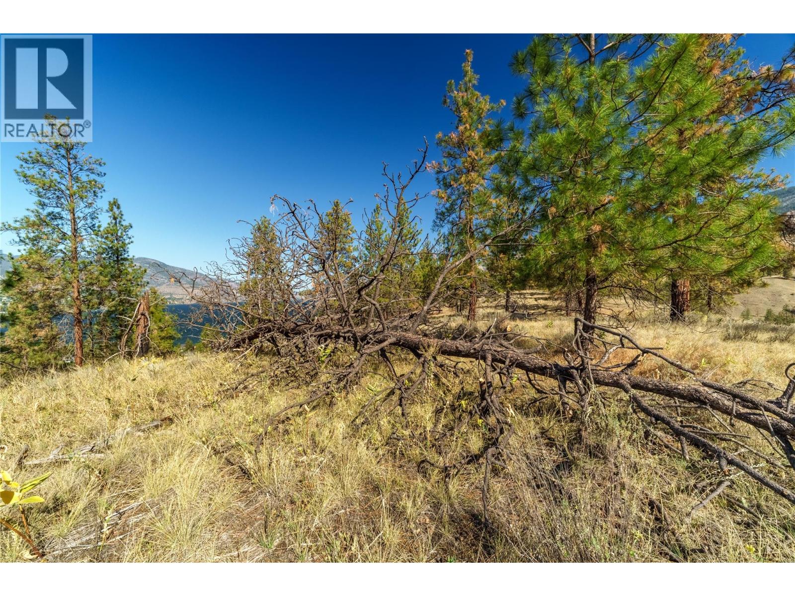 Prpsd Lt 1 47 Street, Okanagan Falls, British Columbia  V0H 1R5 - Photo 18 - 10401523