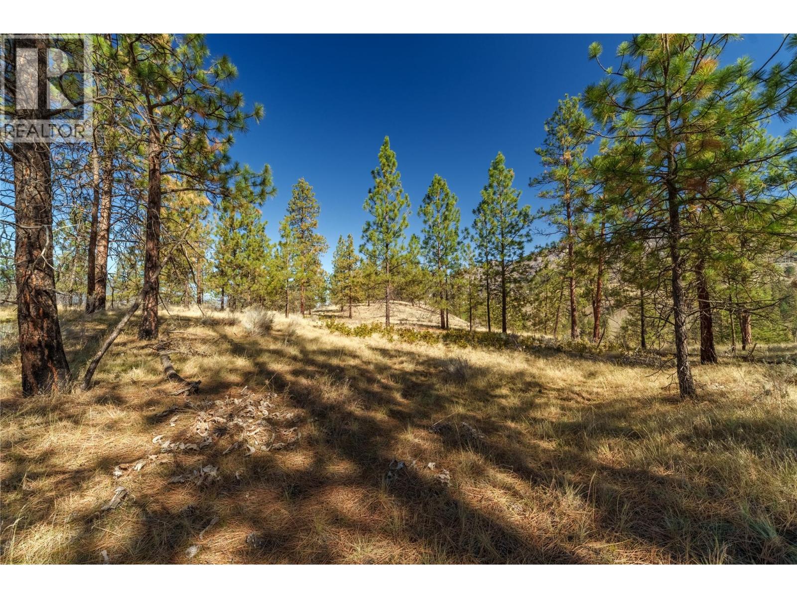 Prpsd Lt 1 47 Street, Okanagan Falls, British Columbia  V0H 1R5 - Photo 19 - 10401523