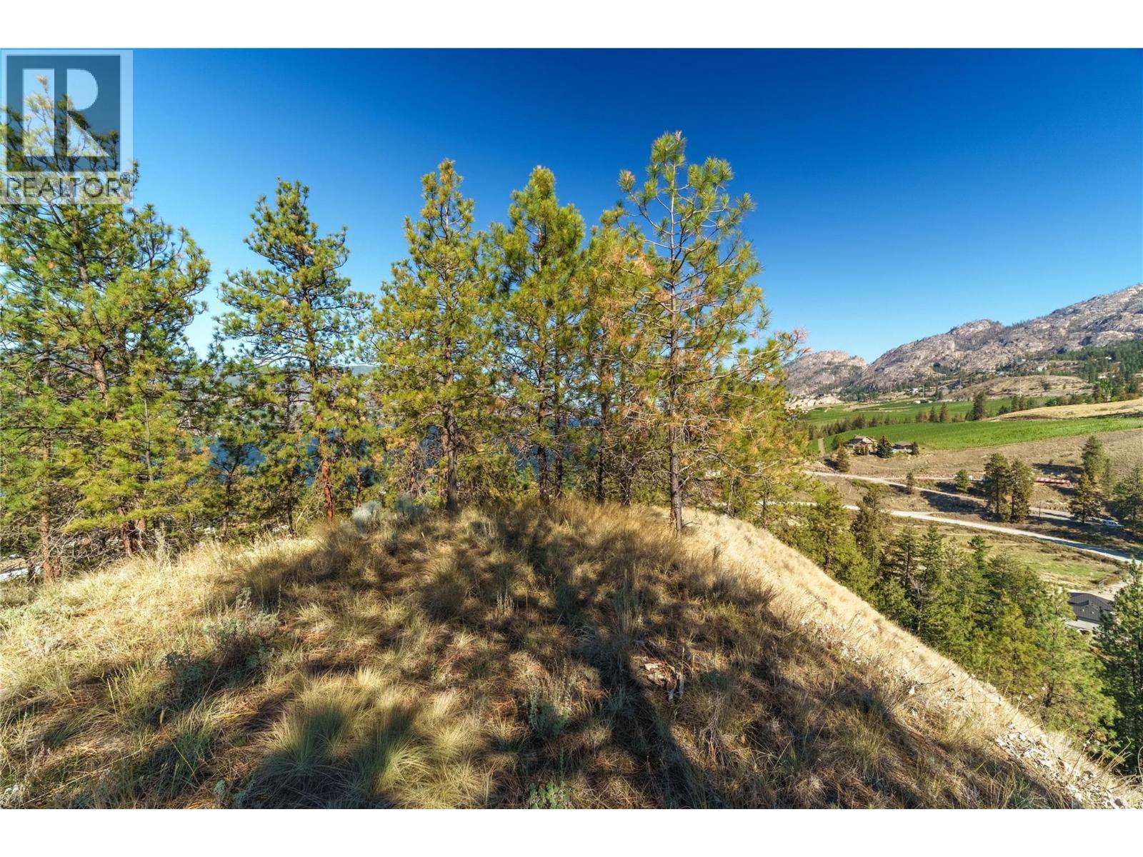 Prpsd Lt 1 47 Street, Okanagan Falls, British Columbia  V0H 1R5 - Photo 2 - 10401523
