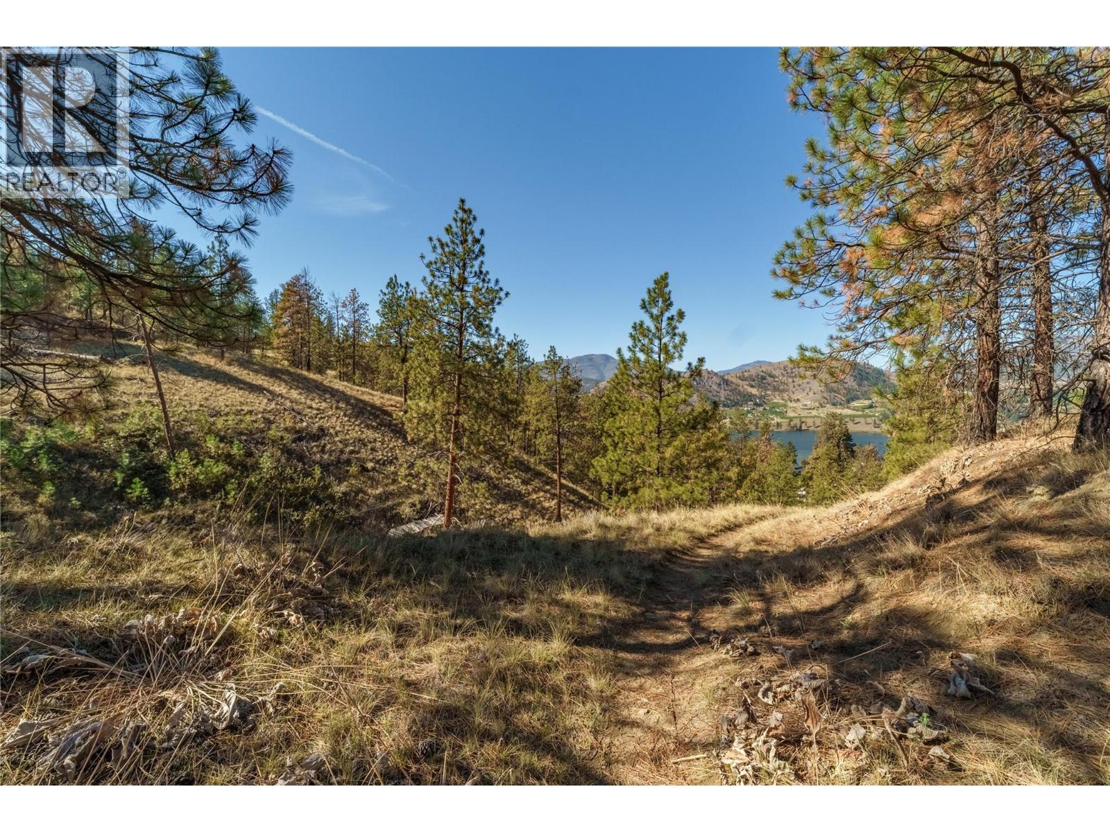 Prpsd Lt 1 47 Street, Okanagan Falls, British Columbia  V0H 1R5 - Photo 20 - 10401523