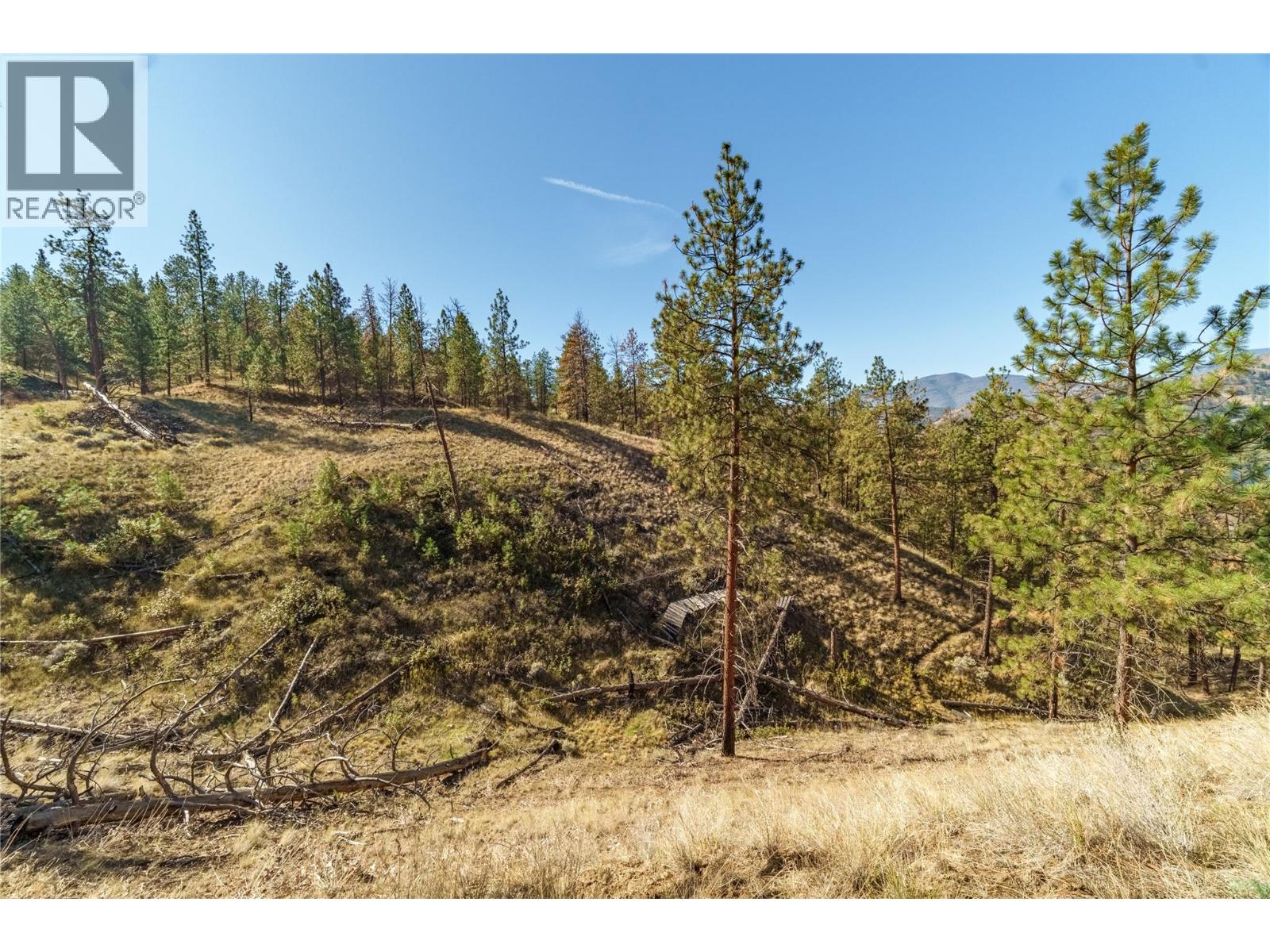 Prpsd Lt 1 47 Street, Okanagan Falls, British Columbia  V0H 1R5 - Photo 22 - 10401523