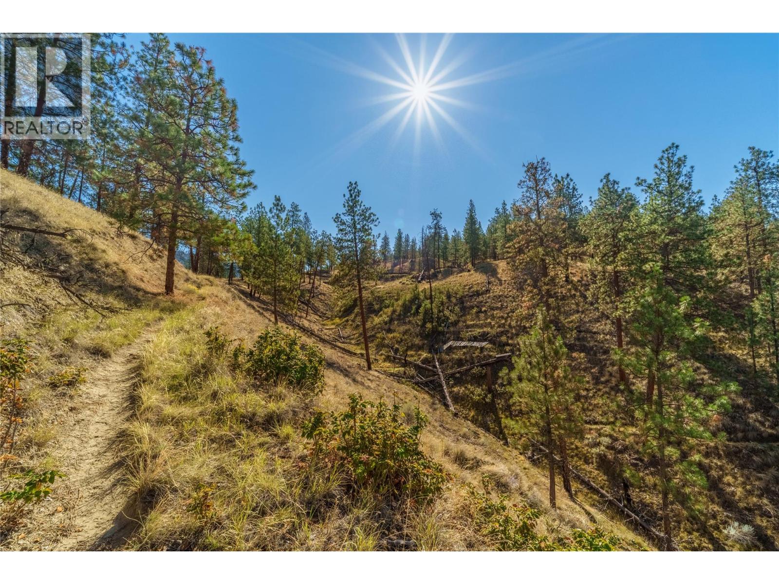 Prpsd Lt 1 47 Street, Okanagan Falls, British Columbia  V0H 1R5 - Photo 24 - 10401523