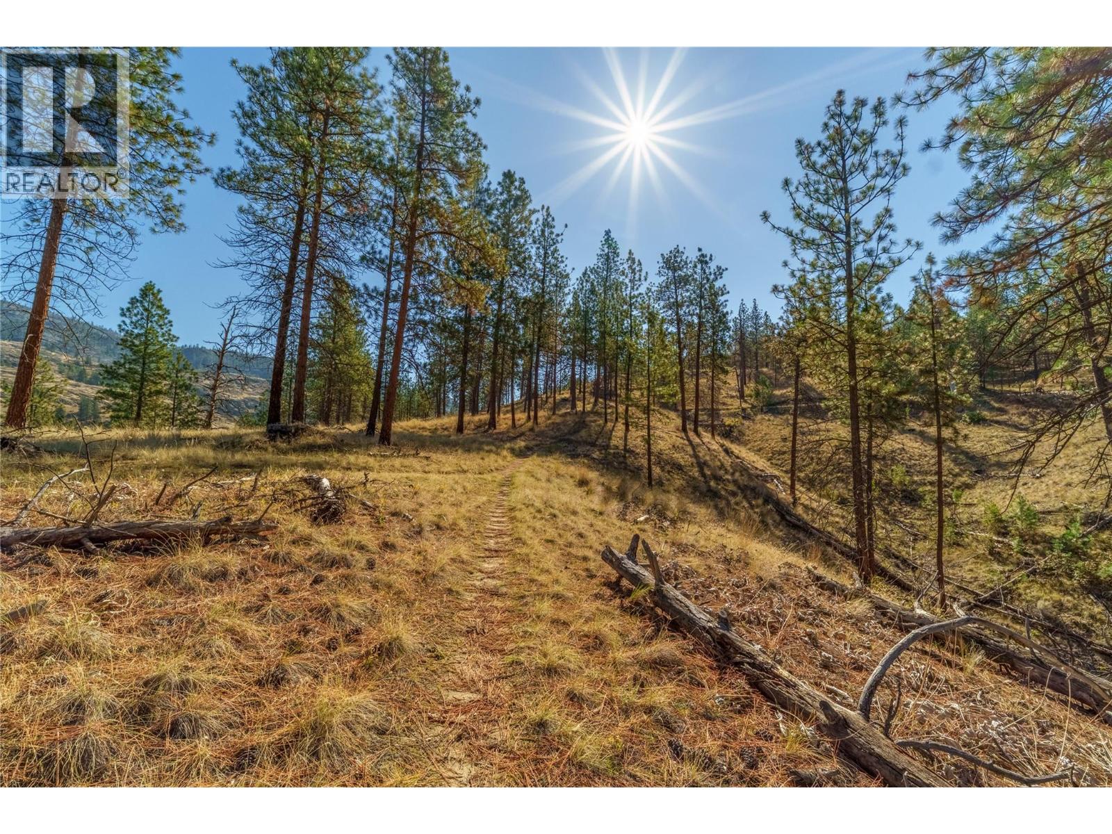 Prpsd Lt 1 47 Street, Okanagan Falls, British Columbia  V0H 1R5 - Photo 25 - 10401523